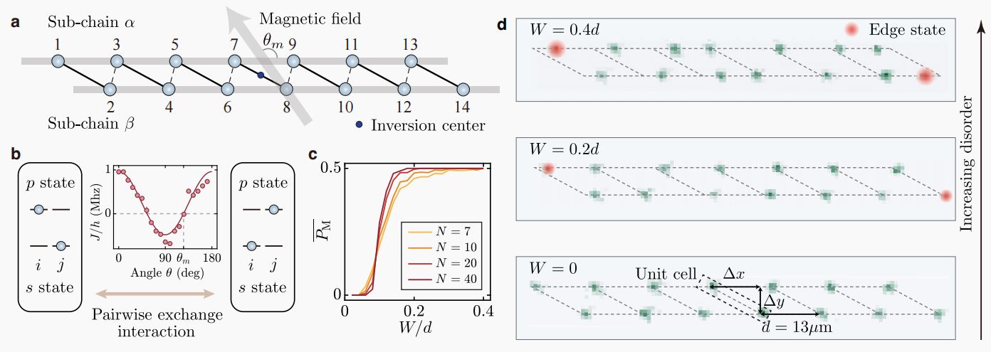 Hard-core boson model with structural disorder.