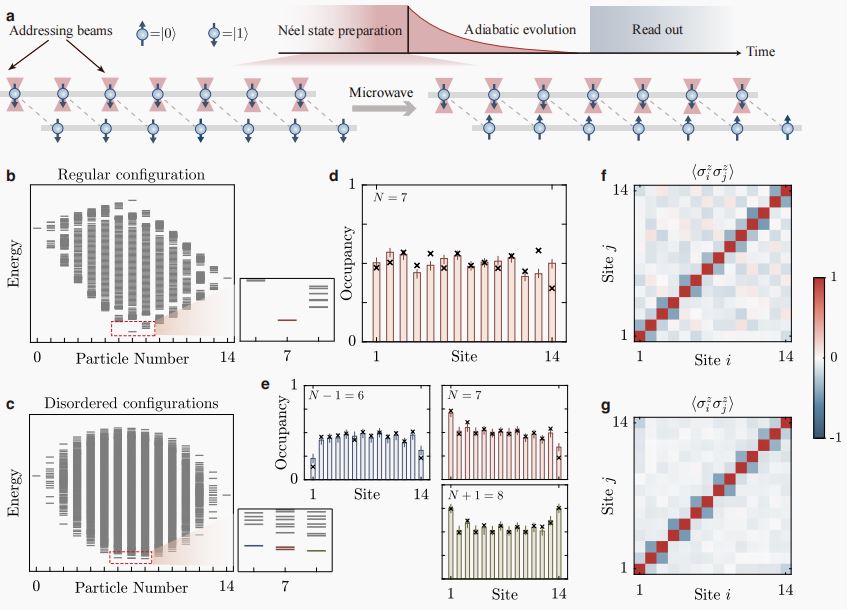 Observation of structural disorder induced many-body average SPT phase.