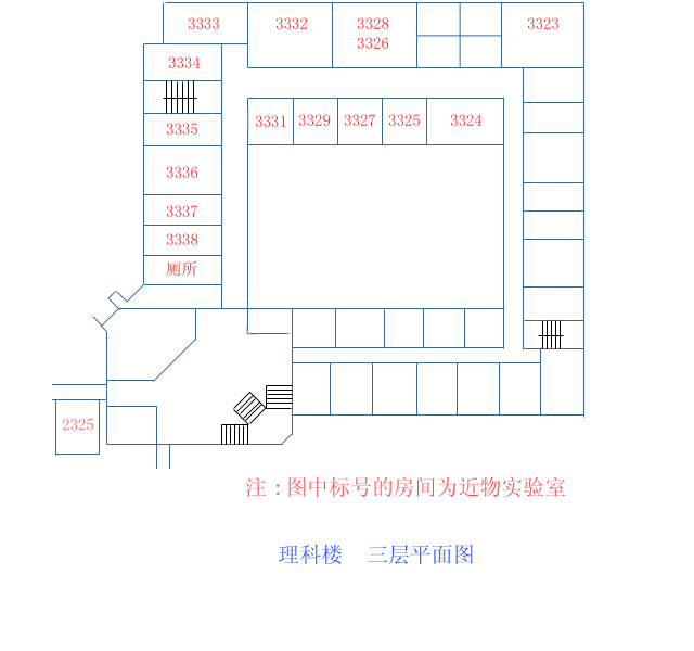 plan.jpg (78810 bytes)