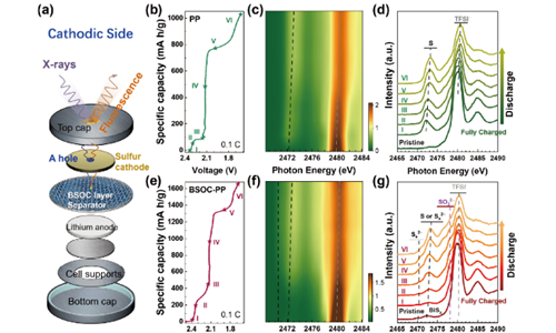 <em>In-situ</em> Characterization of Electrochemical Interfaces