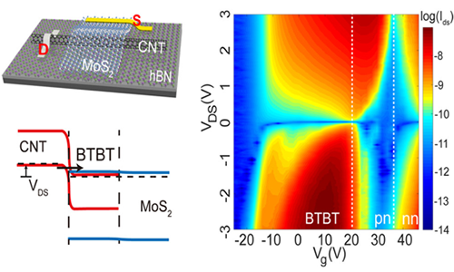 Electronic/Ionic Neuromorphic Devices